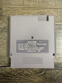 IronSword: Wizards & Warriors II (Nintendo Entertainment System, 1989)