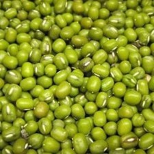 Organic Mung Bean Seeds - Sprouting Microgreens or Garden Plant - NEW Season