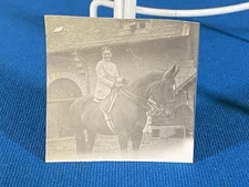 Well Dressed Woman on Saddled Horse Germany VTG c. 1932 Photo Lt#19