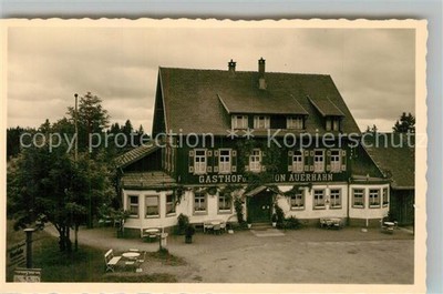 Zwieselberg Freudenstadt Gasthof zum Auerhahn mit Nebenh?usern Chamois B?tten