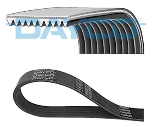 Fits DAYCO DAY10PK1240KHD V-ribbed Belt DAY10PK1240KHD Multi-V-belt (10PK1240)
