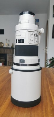 Sony 300mm F2.8G (SAL300F28G) & Teleconverter SAL20TC & SAL14TC)
