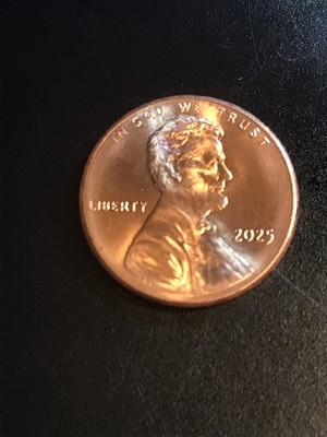 2025 lincoln Shield penny errors