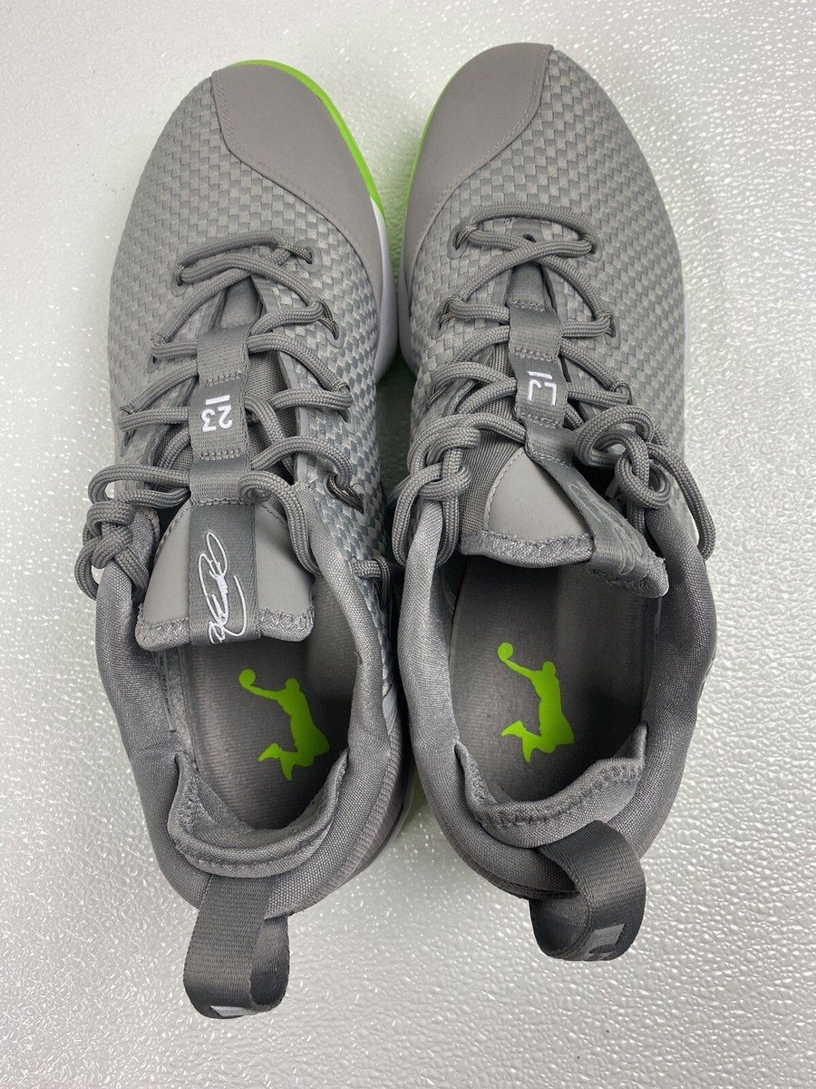 lebron 14 low grey and green