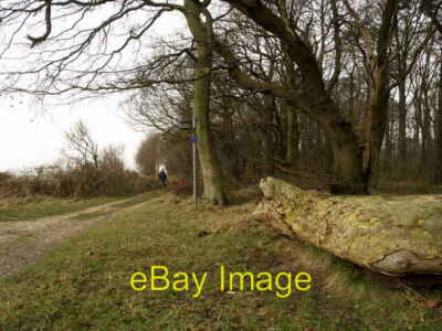 Photo 6x4 Makeshift Seat at Hendale Wood Searby  c2008