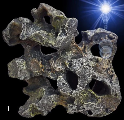 EUROPET Aquarium Deko 🍀LEICHTES LOCHGESTEIN 🍀 Terrarium Dekoration Zubehör bepflanzbar