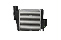 1X NRF 30924 LadeluftküHler FüR DS