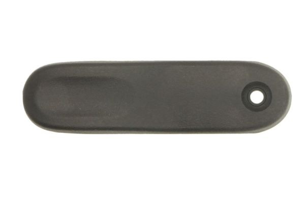 Rear BLIC 6010-09-053417WP Door Handle, interior equipment for NISSAN,RENAULT