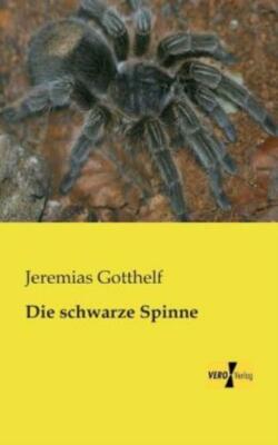 Die Schwarze Spinne