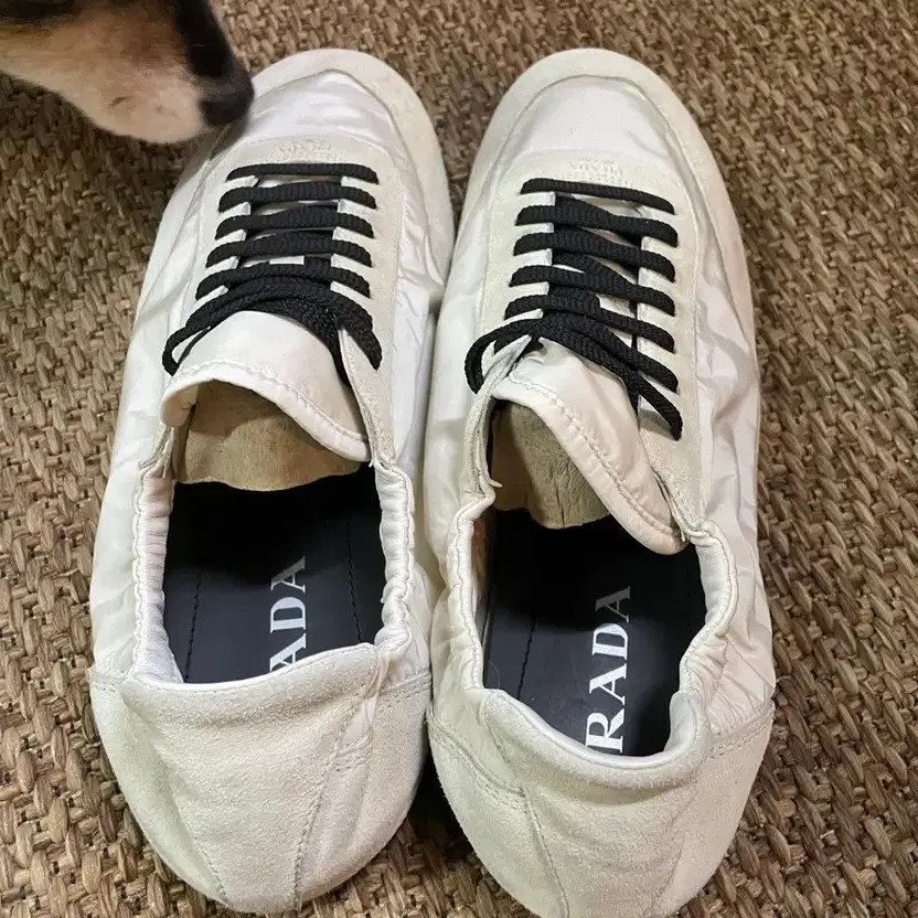 Prada Cropped Sneakers, Size 280, Excellent Condition thumbnail 5