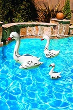 Poolmaster Swan Family Pool Décor (All 3 Sizes)