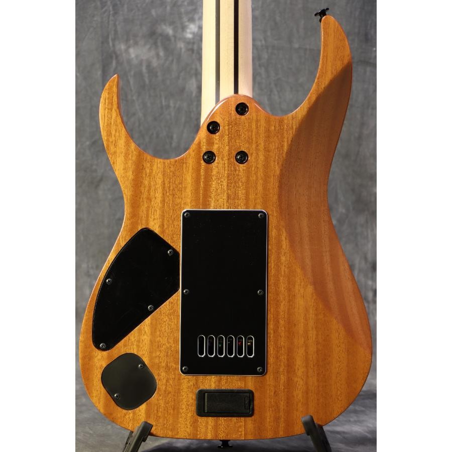 Ibanez Axe Design Lab RG Prestige Series RG5121ET-PRT Polar Lights
