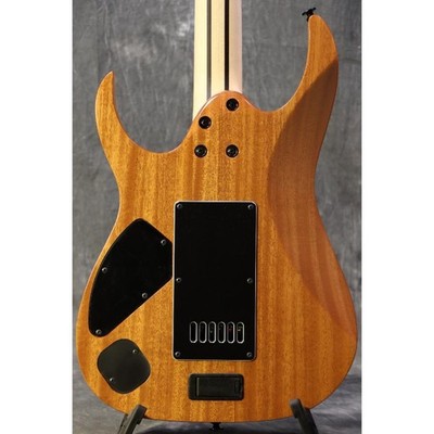 Ibanez Axe Design Lab RG Prestige Series RG5121ET-PRT Polar Lights