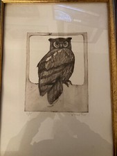 Enotrio, Gufi. Acquaforte anni 80. Ottime condizioni