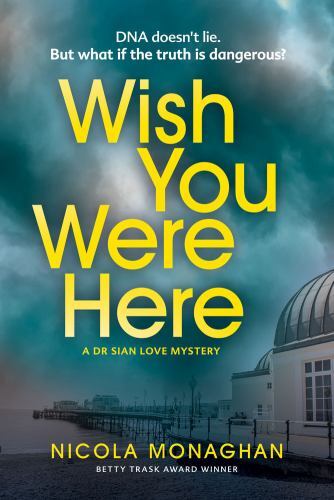 Wish You Were Here, Paperback by Monaghan, Nicola, Brand New, Free shipping i...