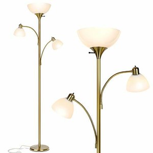 floor lamp with two reading lights