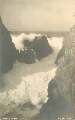 Postcard RPPC California Point Lobos Pillsbury #1561 23-948