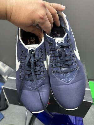 Nike Air Max LD-Zero Hiroshi Fujiwara Size 9 848624-410 | eBay