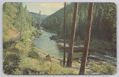 Clearwater River Idaho Postcard 1967 Sandpoint Ponderosa Pines Vintage