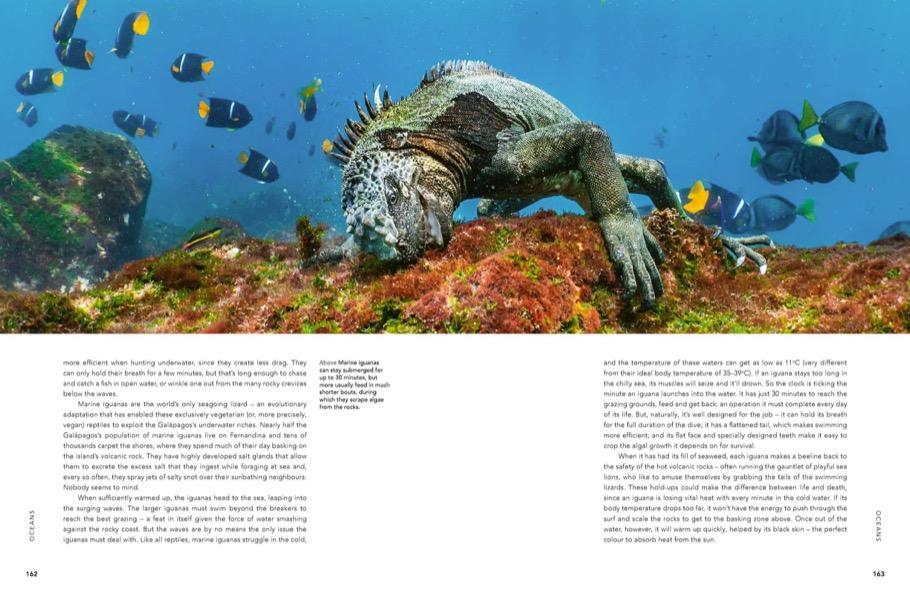 Thumbnail - Huw Cordey Ein Perfekter Planet