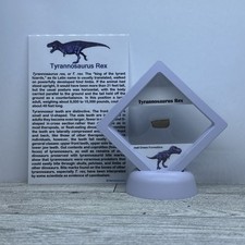 Tyrannosaurus Rex 