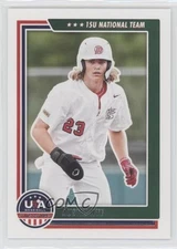 2022 Panini USA Baseball Stars & Stripes Austin Nye #80