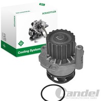 INA Wasserpumpe Passend FüR Seat Ibiza Skoda Fabia VW Polo | 538 0639 10