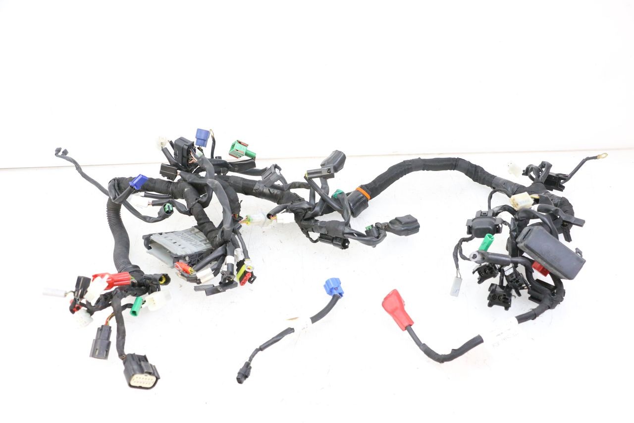 WIRE HARNESS - HUSQVARNA SVARTPILEN 401 (2018 - 2023)