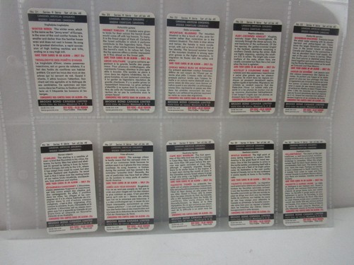 BROOKE BOND (CANADA) - CANADIAN / AMERICAN SONGBIRDS - FULL SET OF 48 CARDS - Picture 7 of 11