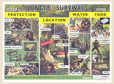 ROYAL AIR FORCE RAF 1979 Training ''Jungle Survival'' Poster SAS: Who Dares Wins