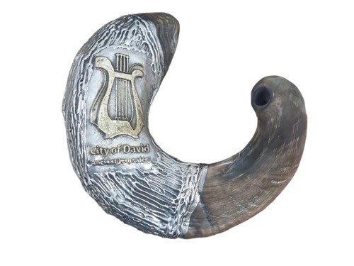 Gran enorme shofar enchapado en plata esterlina carnero cuerno 24" - 60 cm arpa de David - Imagen 4 de 14