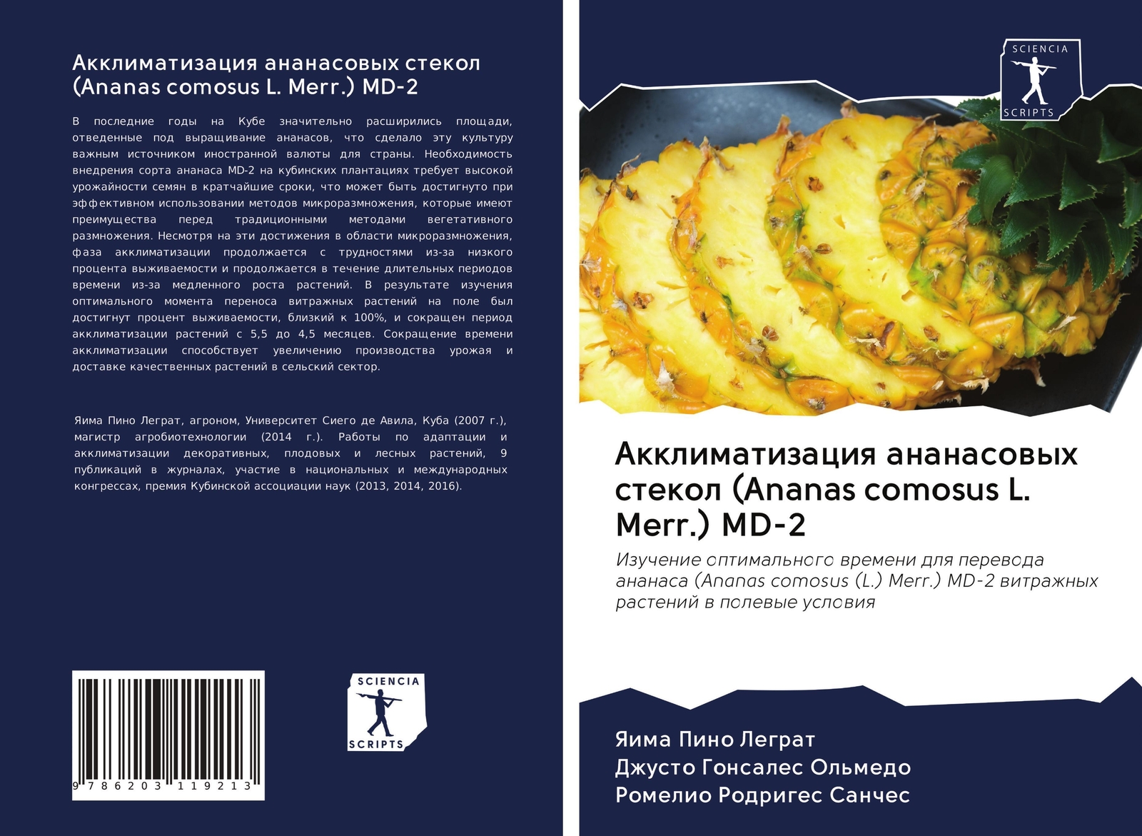 Akklimatizaciq Ananasowyh Stekol (ananas Comosus L. Merr.) Md-2 |