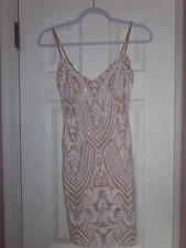 Windsor Sequins Bodycon Dress, Size Small, Worn Once