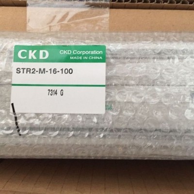 Fst New CKD STR2-M-16-100 cylinder *vm