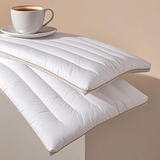 Ultra Thin Flat Pillow for Sleeping, 18x26x2.5 inches, White
