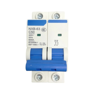 For Chint NXB-63 2P 50A Series Leakage Protector C-Type Circuit Breaker