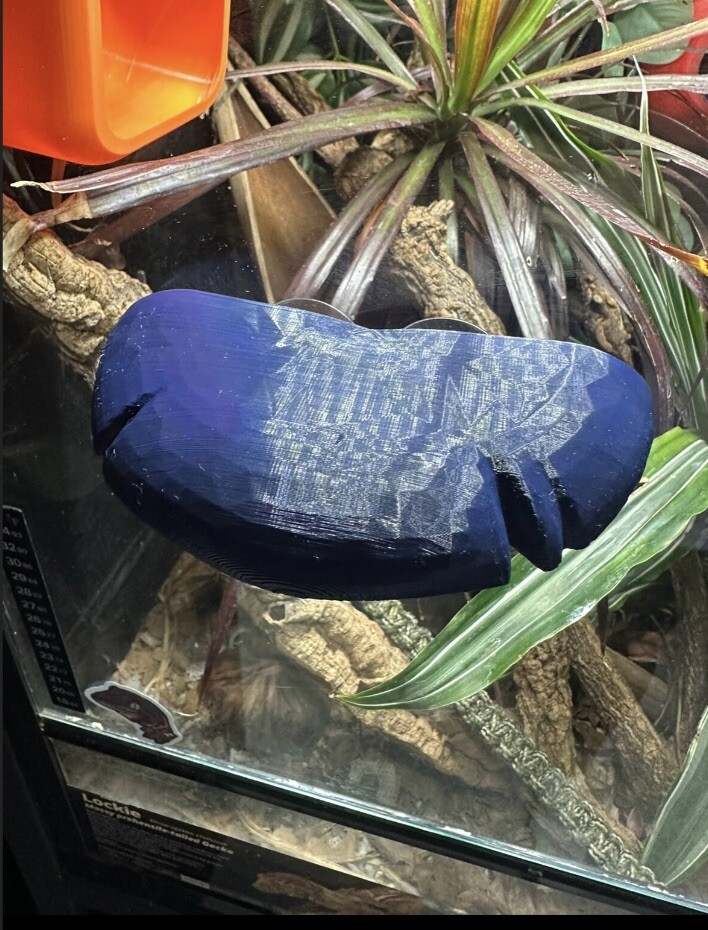 Frog And Gecko Ledge Mushroom Ledge Strong Suction Cups Dart Frog Tree