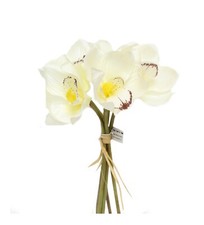 Cymbidium Boat Orchid Bouquet Bundle 5 Stems Home Decor, Bouquet, Corsage Filler