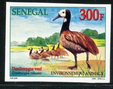 TIMBRE AFRIQUE SENEGAL / NEUF NON DENTELE N° 1514 ** FAUNE / DENDROCYGNE VEUF