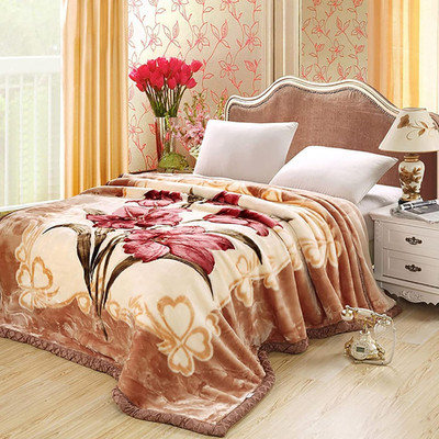 Korean Mink Blanket 59''×79'', Silky Soft and Warm - 2 Ply Reversible Raschel Thro