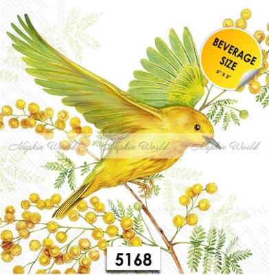 (5168) TWO Paper BEVERAGE / COCKTAIL Decoupage Art Craft Napkins  BIRD (2 sides)