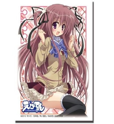 Bushiroad Sleeve Collection HG (High Grade) Vol.403 Ebiten Public Ebisu Sugawa H