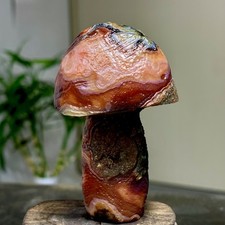 95G Top natural Gobi agate eye agate/stone carved mushroom Madagasca