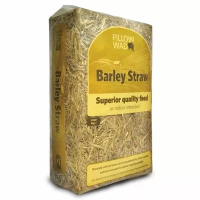 PILLOW WAD SUPERIOR BARLEY STRAW LARGE - 2KG