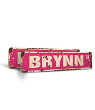 BRYNN Vintage Style Rustic Street Sign Childrens Name Room Metal Road Sign
