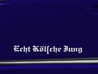 Bild 12 von 12