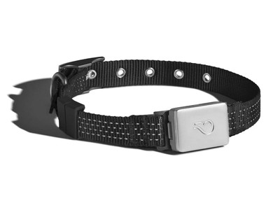 WHISTLE SWITCH SMART DOG COLL AR GPS & HEALTH TRACKER  w EXTRA COLLAR  XS/S/M