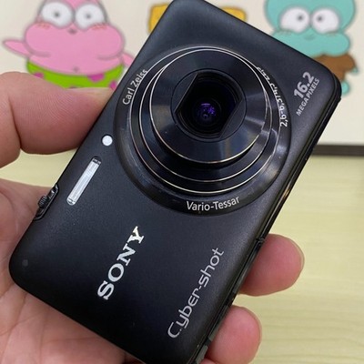 SONY Cyber-Shot DSC-WX9 Digital Camera 16.2 MP 5X Optical Zoom