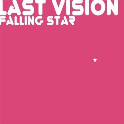 Last Vision Falling Star (CD)