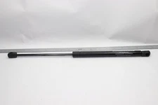 Associated Spring Raymond Gas Spring 100 Lb Capacity 17" GSNI-2200-100/LX/0521